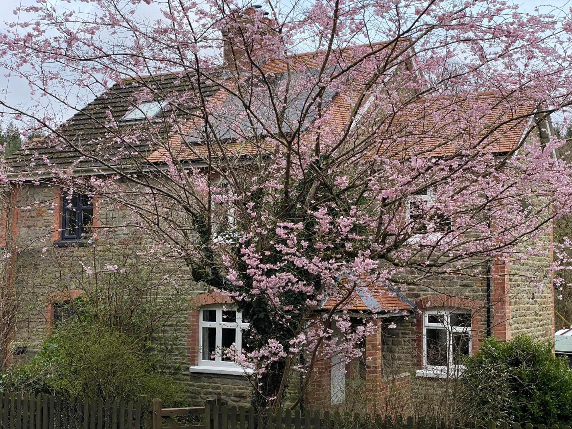 Willow Cottage Longney Εξωτερικό φωτογραφία